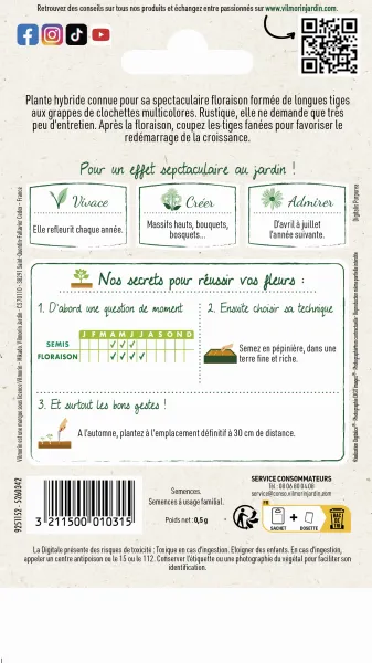 Fleurs - Digitale Excelsior Variée - MEDIA_PACKAGING_VERSO