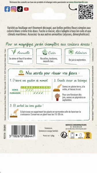 Fleurs - Eschscholtzia Blanc - MEDIA_PACKAGING_VERSO