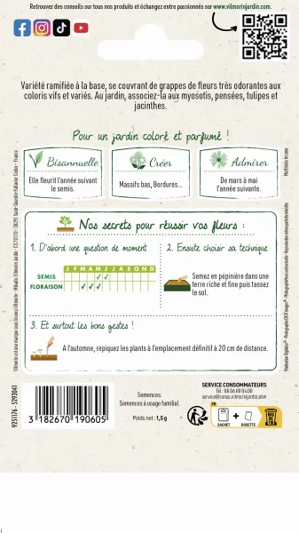 Fleurs - Giroflée Ravenelle Simple Variée - MEDIA_PACKAGING_VERSO