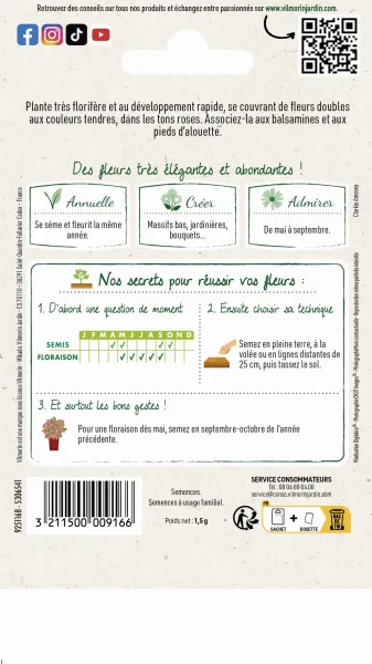 Fleurs - Godétia Fleurs d'Azalée Varié - MEDIA_PACKAGING_VERSO