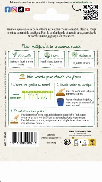 Fleurs - Immortelle à Bractées Double Variée - MEDIA_PACKAGING_VERSO