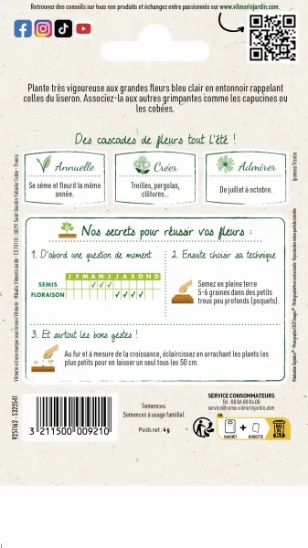 Fleurs - Ipomée grande fleur bleue - MEDIA_PACKAGING_VERSO