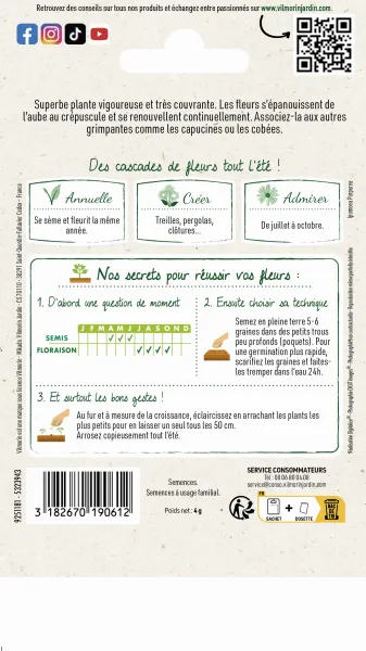 Fleurs - Ipomée Géante Scarlett O'Hara - MEDIA_PACKAGING_VERSO