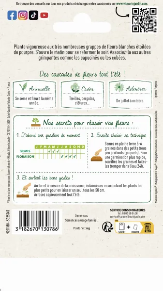 Fleurs - Ipomée Géante Blanche - MEDIA_PACKAGING_VERSO
