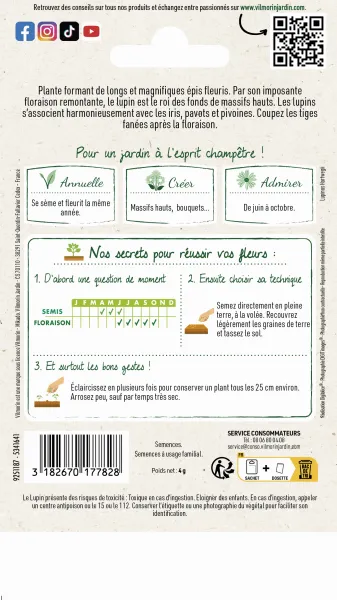 Fleurs - Lupin Annuel Varié - MEDIA_PACKAGING_VERSO
