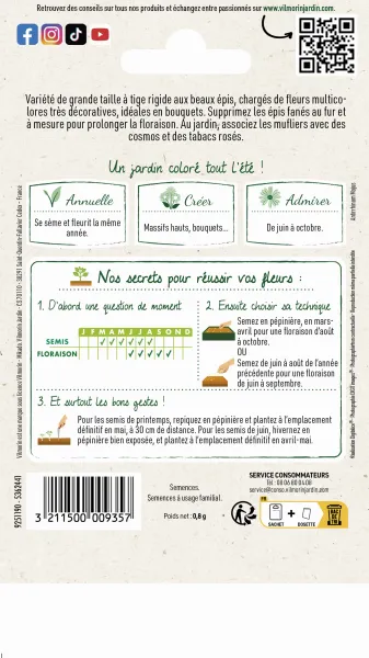 Fleurs - Muflier (Gueule de Loup) Grand Loup Varié - MEDIA_PACKAGING_VERSO