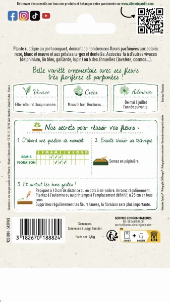 Fleurs - Œillet Mignardise Simple Varié - MEDIA_PACKAGING_VERSO