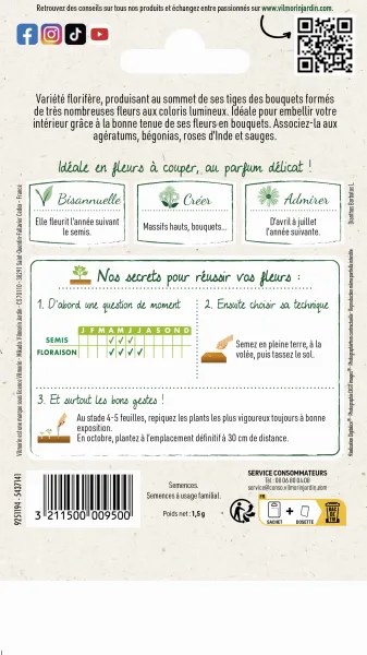 Fleurs - Œillet de Poète Hirondelle Varié - MEDIA_PACKAGING_VERSO