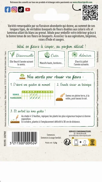 Fleurs - Œillet de Poète Double Pationata Varié - MEDIA_PACKAGING_VERSO