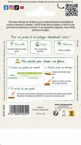 Fleurs - Oeillet d'inde double nain mix - MEDIA_PACKAGING_VERSO