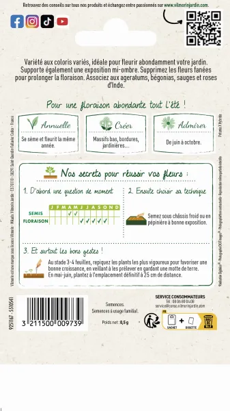 Fleurs - Pétunia Varié - MEDIA_PACKAGING_VERSO