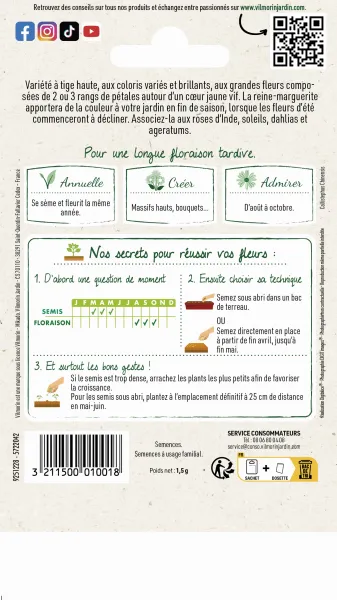 Fleurs - Reine-Marguerite Simple Variée - MEDIA_PACKAGING_VERSO