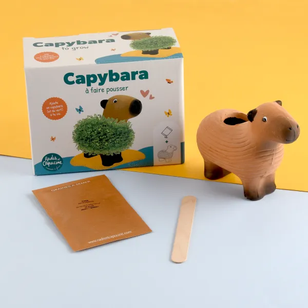 Radis et Capucine - Chia Pet - Capybara à faire pousser - MEDIA_EN_SITUATION_1