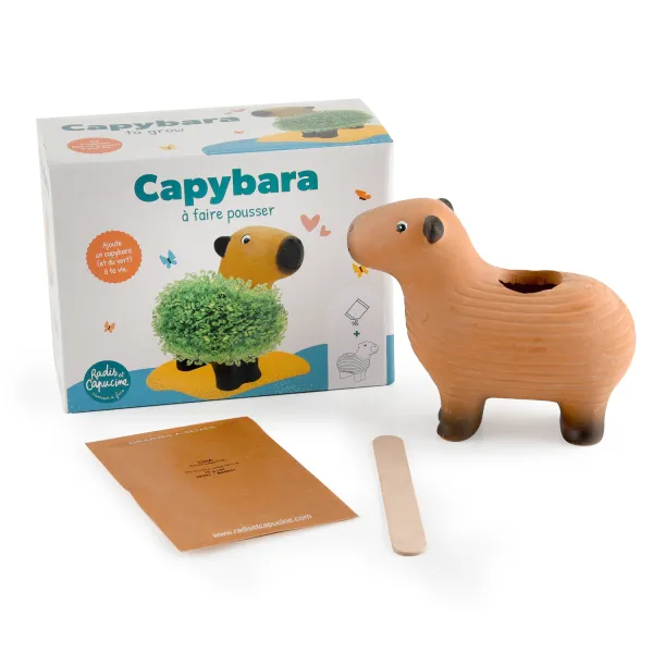 Radis et Capucine - Chia Pet - Capybara à faire pousser - MEDIA_EN_SITUATION_2