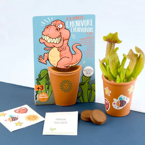 Radis et Capucine - Kit de jardinage enfant - Plante Carnivore - T-Rex - MEDIA_EN_SITUATION_1