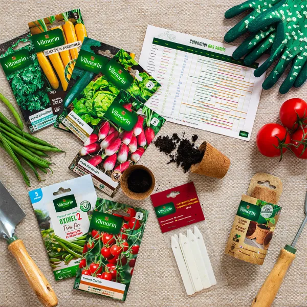 Kit de jardinage - Coffret mon premier potager - face recto