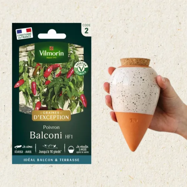 Kit de jardinage - Kit semis Poivron Balconi + Olla Blanc Grainé - face recto