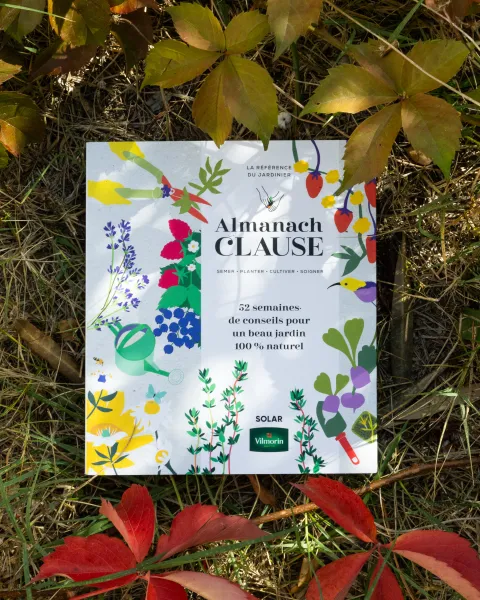 Librairie - Almanach Clause - face recto