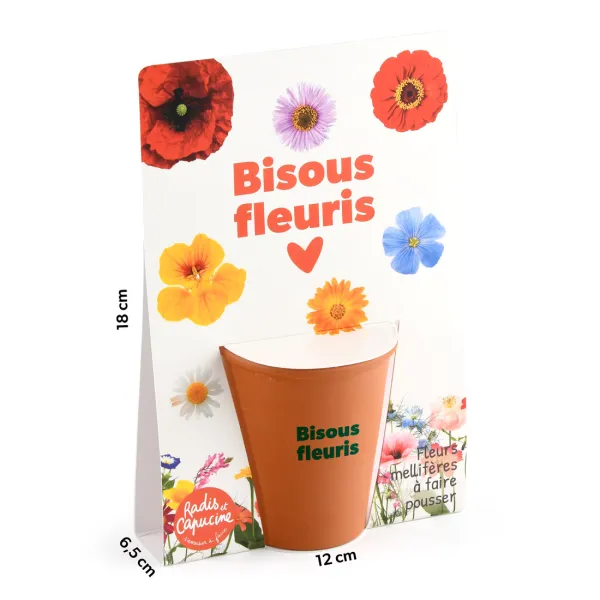 Radis et Capucine - Kit jardinage - Fleurs Mellifères - Bisous Fleuris - face recto