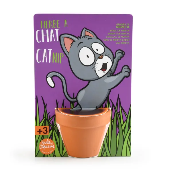 Radis et Capucine - Kit de jardinage - Herbe à Chat - face recto