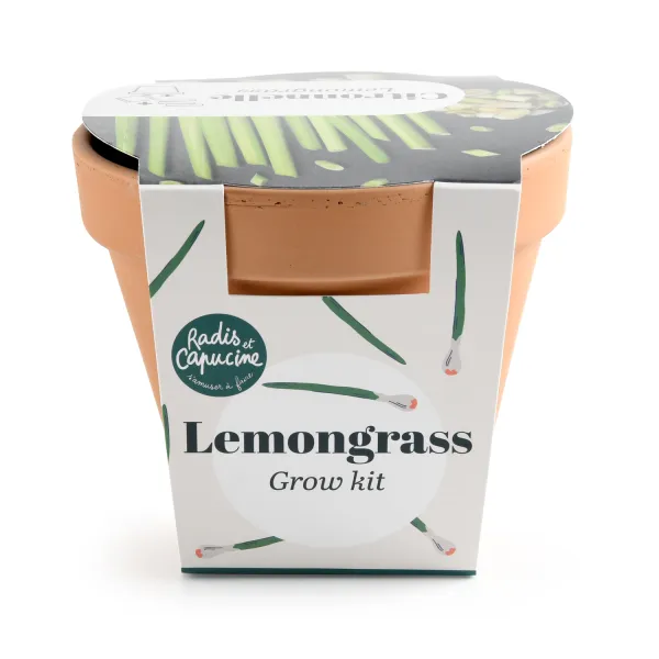 Radis et Capucine - Kit Citronnelle - Pot en Terre Cuite - 13 cm - PACKAGING_3D_VERSO