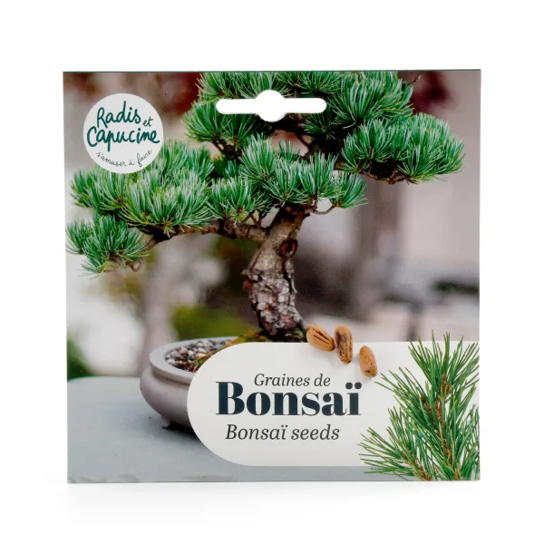 Radis et Capucine - Bonsaï Pinus Pinea à semer - face recto