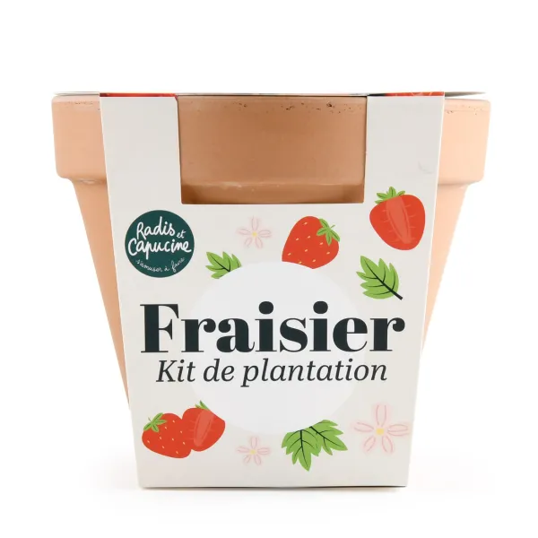 Radis et Capucine - Kit Fraisier - Pot Terre Cuite Antique - 13 cm - PACKAGING_RECTO