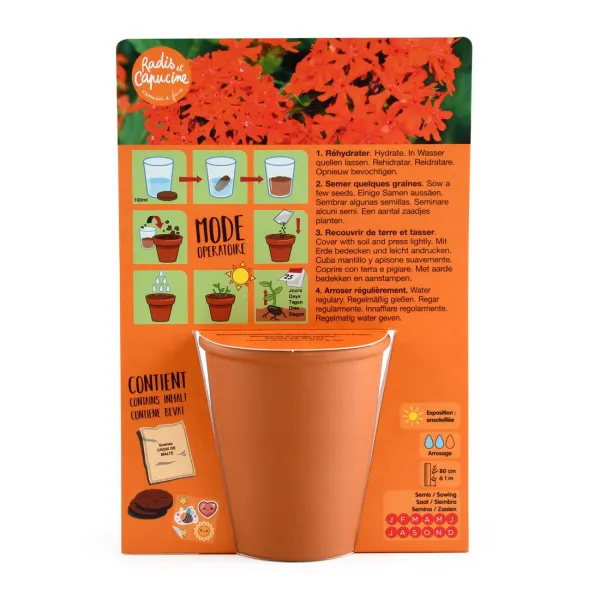 Radis et Capucine - Kit de jardinage enfant - Chevalier - MEDIA_PACKAGING_VERSO