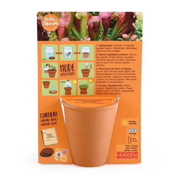 Radis et Capucine - Kit de jardinage enfant - Plante Carnivore - T-Rex - MEDIA_PACKAGING_VERSO