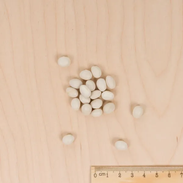 Légumes Secs - Haricot Nain à Ecosser Coco Blanc Précoce  - MEDIA_3D