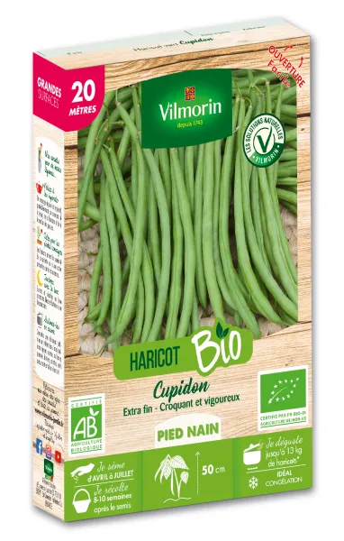 Légumes Secs - Haricot Nain Vert Cupidon - 20 m - BIO - PACKAGING_3D_RECTO