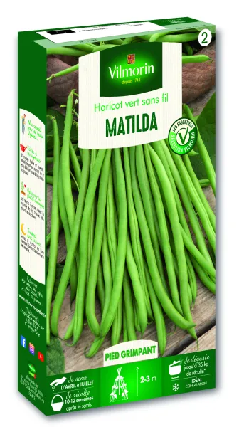 Légumes Secs - Haricot Matilda - PACKAGING_3D_RECTO