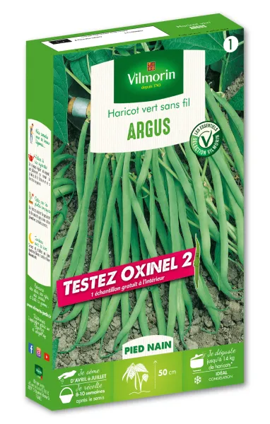 Légumes Secs - Haricot Nain Vert Argus + échantillon Oxinel 2 - face recto