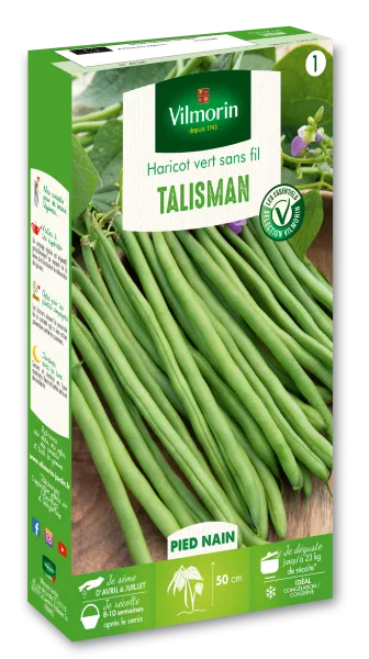 Légumes Secs - Haricot Nain Vert Talisman - face recto
