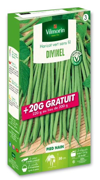 Légumes Secs - Haricot Nain Vert Divinel + 20 g Offert - face recto