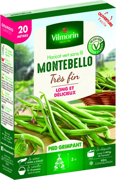 Légumes Secs - Haricot Grimpant Vert Montebello - 20 m - face recto