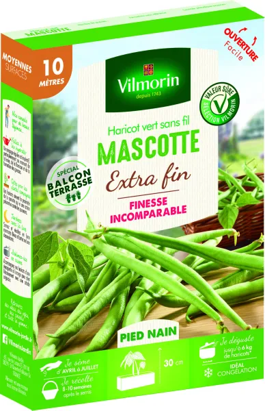 Légumes Secs - Haricot Nain Vert Mascotte - 10 m - face recto