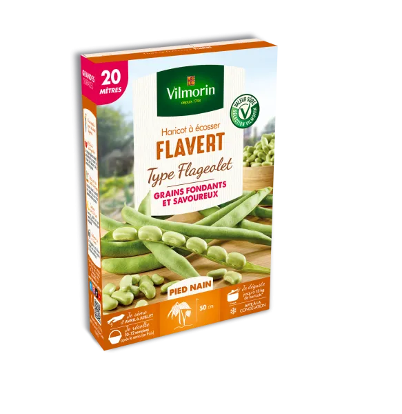 Légumes Secs - Haricot Nain à Ecosser Flavert (type Flageolet) - 20 m - PACKAGING_3D_RECTO