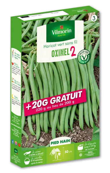 Légumes Secs - Haricot Nain Vert Oxinel 2 + 20 g Offert - face recto