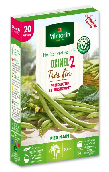 Légumes Secs - Haricot Nain Vert Oxinel 2 - 20 m - face recto