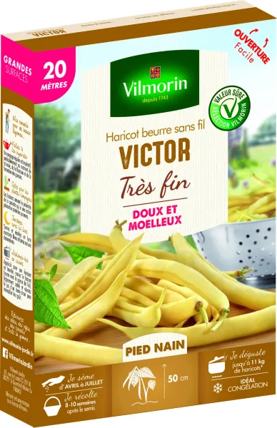 Légumes Secs - Haricot Nain Beurre Victor - 20 m - face recto