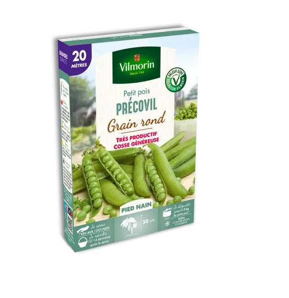 Légumes Secs - Pois Nain à Grain Rond Précovil - 20 m - face recto