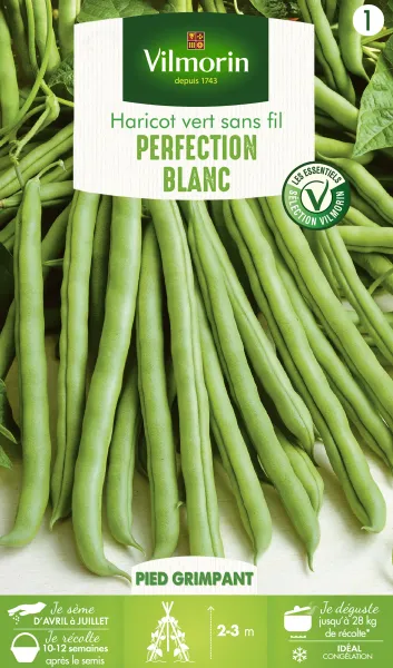 Légumes Secs - Haricot Blanc de Juillet - PACKAGING_RECTO