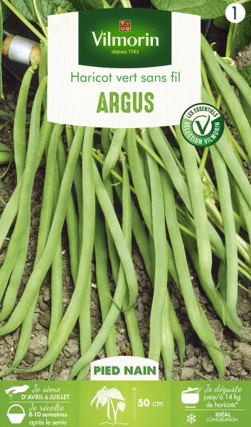 Légumes Secs - Haricot Nain Vert Argus - PACKAGING_RECTO