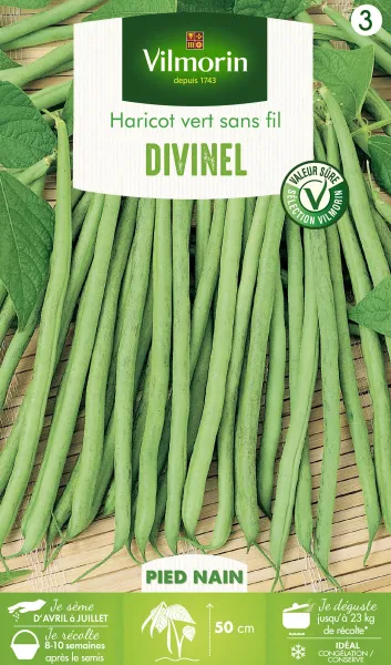 Légumes Secs - Haricot Nain Vert Divinel - PACKAGING_RECTO