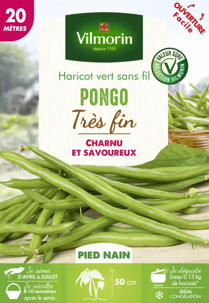 Légumes Secs - Haricot Pongo - 20 m - PACKAGING_RECTO