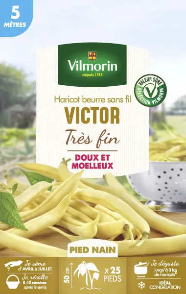 Légumes Secs - Haricot Nain Beurre Victor - 5 m  - PACKAGING_RECTO