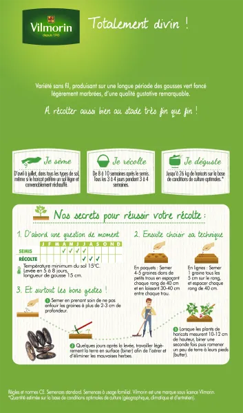 Légumes Secs - Haricot Nain Vert Divinel + 20 g Offert - MEDIA_PACKAGING_VERSO