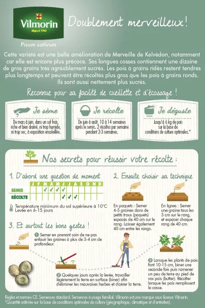 Légumes Secs - Pois Nain à Grain Ridé Kelmerveil - 20 m - MEDIA_PACKAGING_VERSO