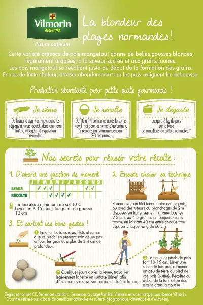 Légumes Secs - Pois Mangetout Normand - 20 m - MEDIA_PACKAGING_VERSO